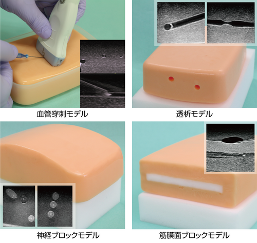 エコー下穿刺トレーニングモデル US-Sensist,神経ブロックモデル,容器